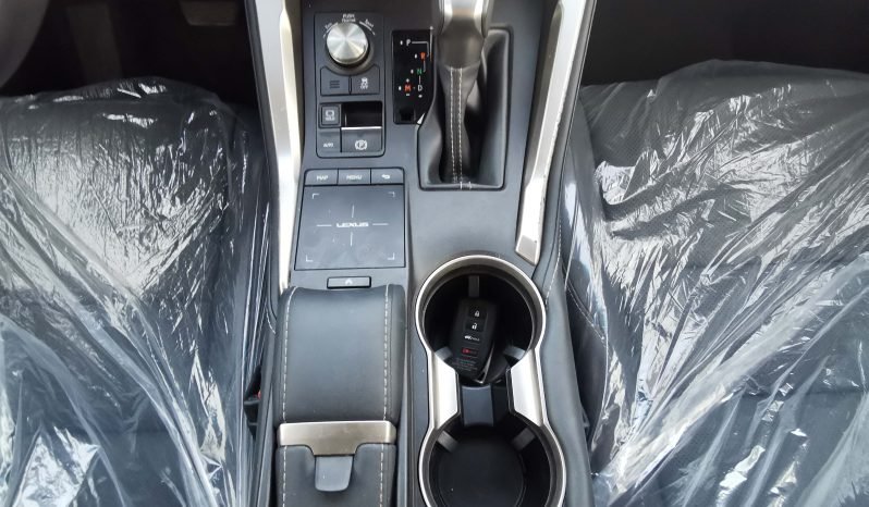 LEXUS NX300 SUV 2.0L 4CY PETROL 2019 BLACK full