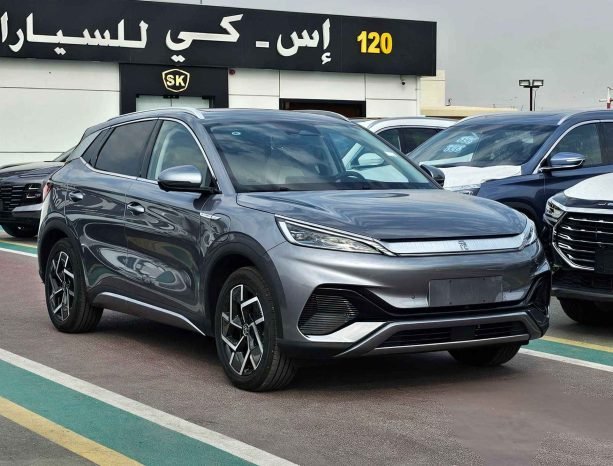 BYD YUAN PLUS Image 2