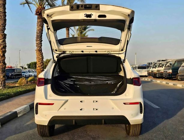 BYD E2 Image 10