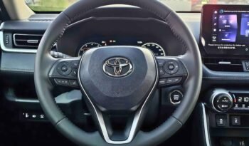 TOYOTA RAV4 STYLE PLUS 2024 PETROL V4 2.0L A/T full