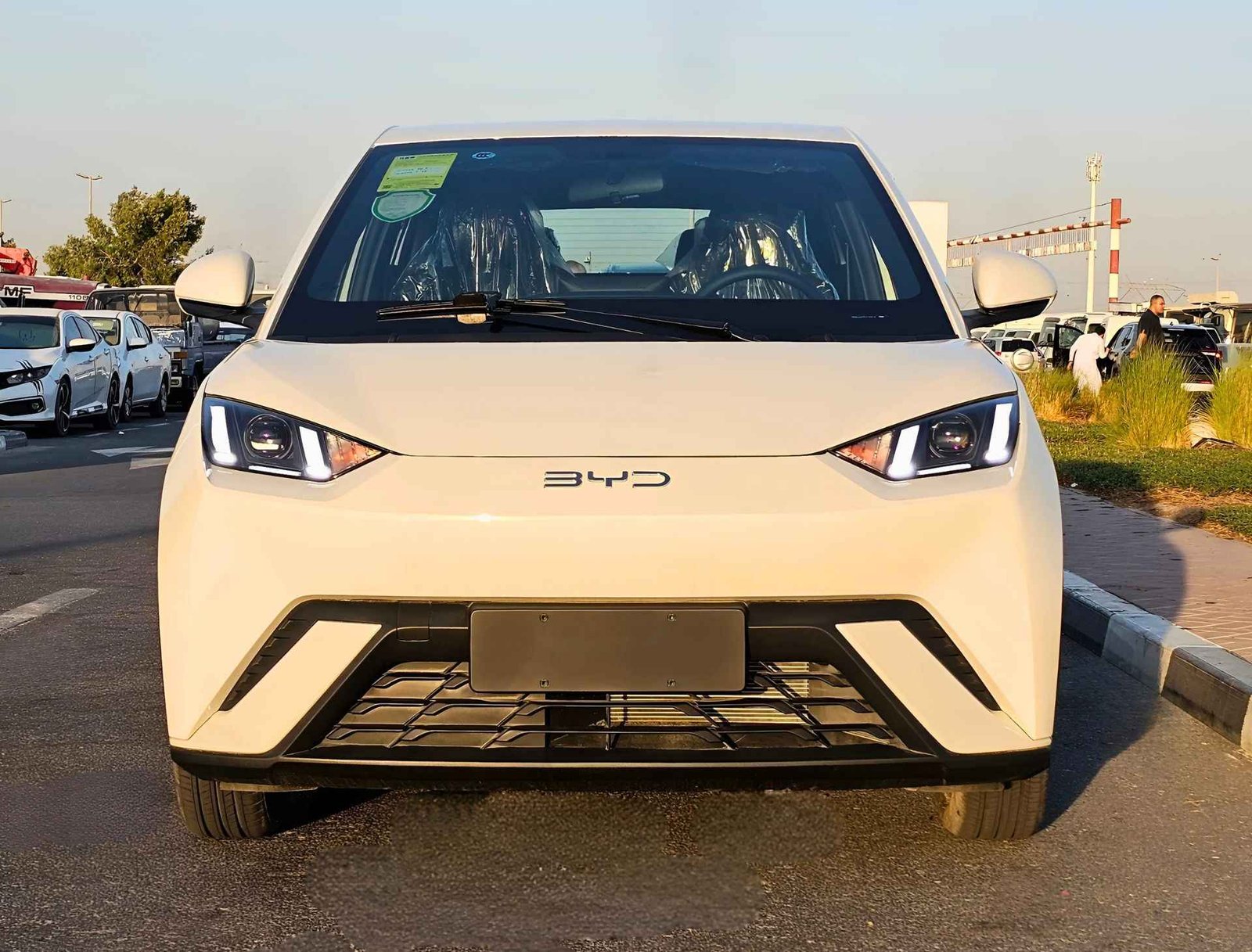 BYD SEAGULL FLYING EDITION 2025 ELECTRIC