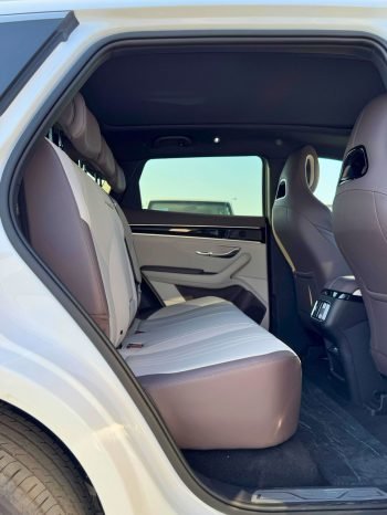 BYD SONG PLUS Image 9
