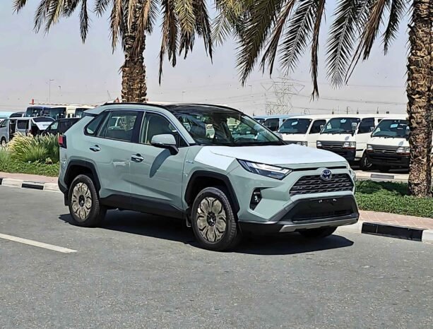 TOYOTA RAV4 2024 HYBRID V4 2.5L A/T