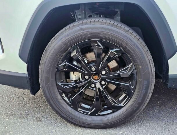 TOYOTA RAV4 HYBRID ELITE PLUS 2024 HYBRID V4 2.5L A/T