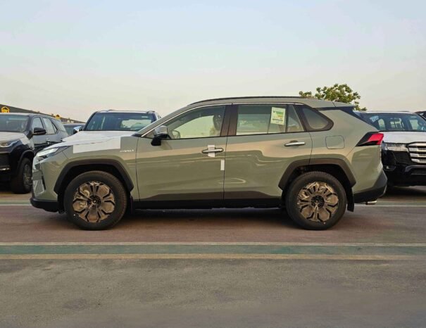 TOYOTA RAV4 EURO4 2024 PETROL V4 2.5L A/T 4WD