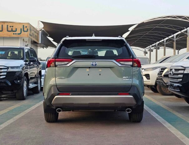 TOYOTA RAV4 EURO4 2024 PETROL V4 2.5L A/T 4WD