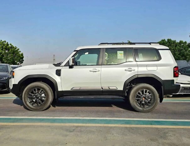 TOYOTA PRADO ALL ROUNDER TURBO 2024 PETROL V4 2.4T V4 A/T