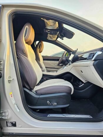 BYD SONG PLUS Image 3