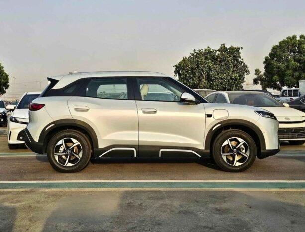 BYD YUAN UP EXCEEDING 401-KM 2025 ELECTRIC A/T