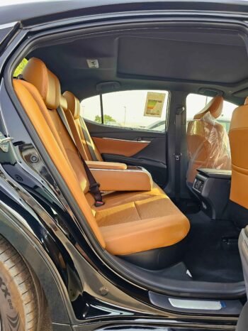 TOYOTA CAMRY Image 7