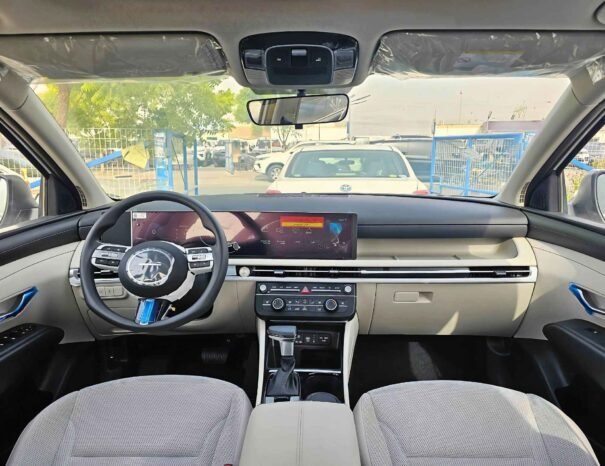 HYUNDAI TUCSON 2025 PETROL 2.0L V4 A/T