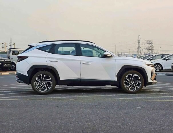 HYUNDAI TUCSON 2025 PETROL 2.0L V4 A/T