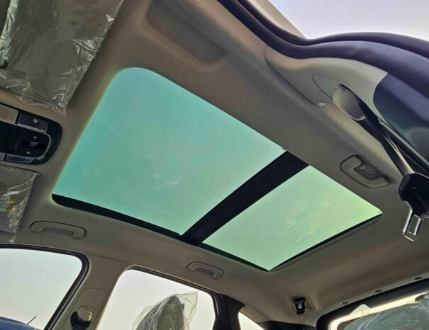 HYUNDAI TUCSON 2025 PETROL 2.0L V4 A/T