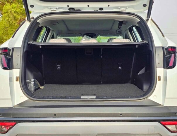 HYUNDAI TUCSON 2025 PETROL 2.0L V4 A/T