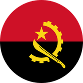 Export Cars to Angola