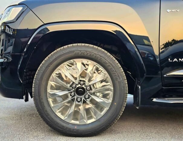TOYOTA LANDCRUISER Image 19