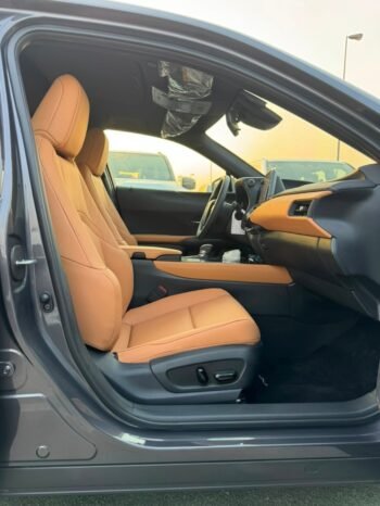 LEXUS UX300h Image 13