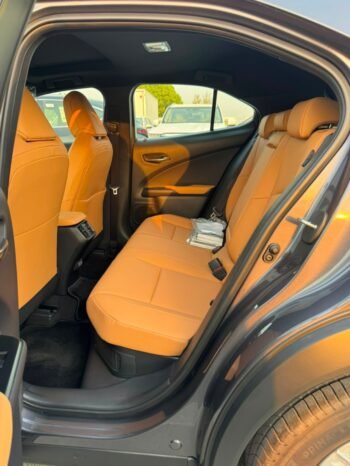 LEXUS UX300h Image 12