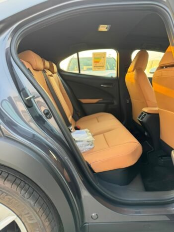 LEXUS UX300h Image 11