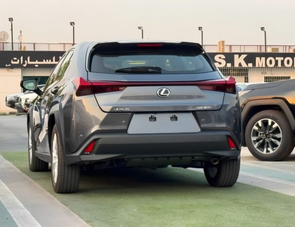 LEXUS UX300h Image 15