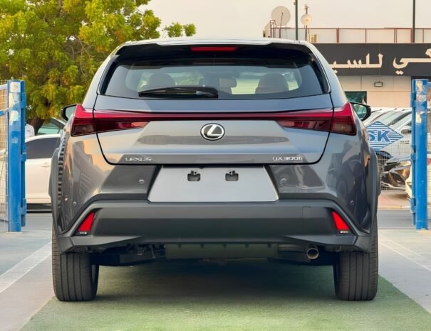 LEXUS UX300h Image 16