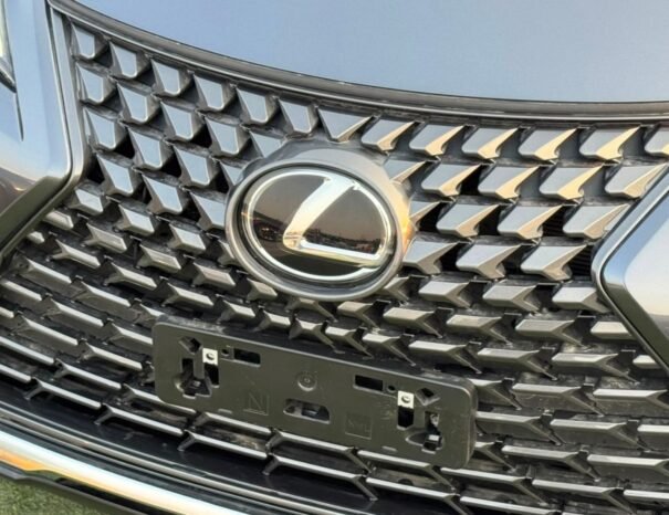 LEXUS UX300h Image 17
